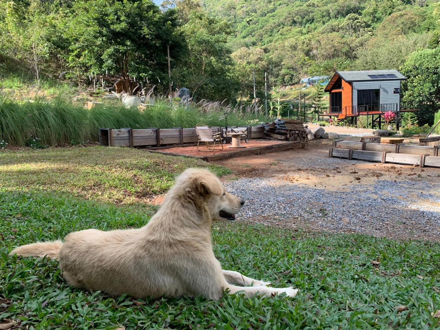 The Signature Valley Khao-yai Campus * Klang Dong