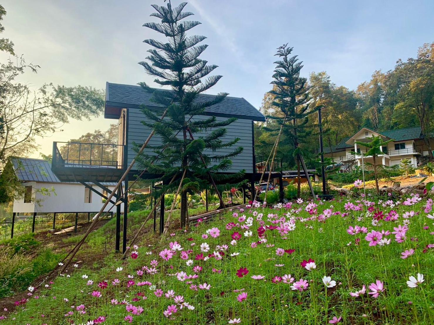 The Signature Valley Khao-yai Campus *